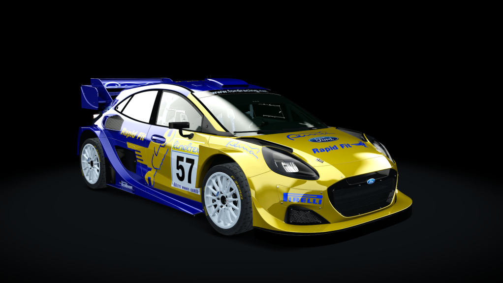 Ford Puma Rally1 2022, skin 4_pilot