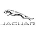 Jaguar XJR-9 LM Badge
