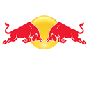 RedBull X2010 Badge